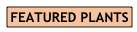 FEATURED PLANTS